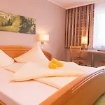 ホテル Blue Gastein 3*